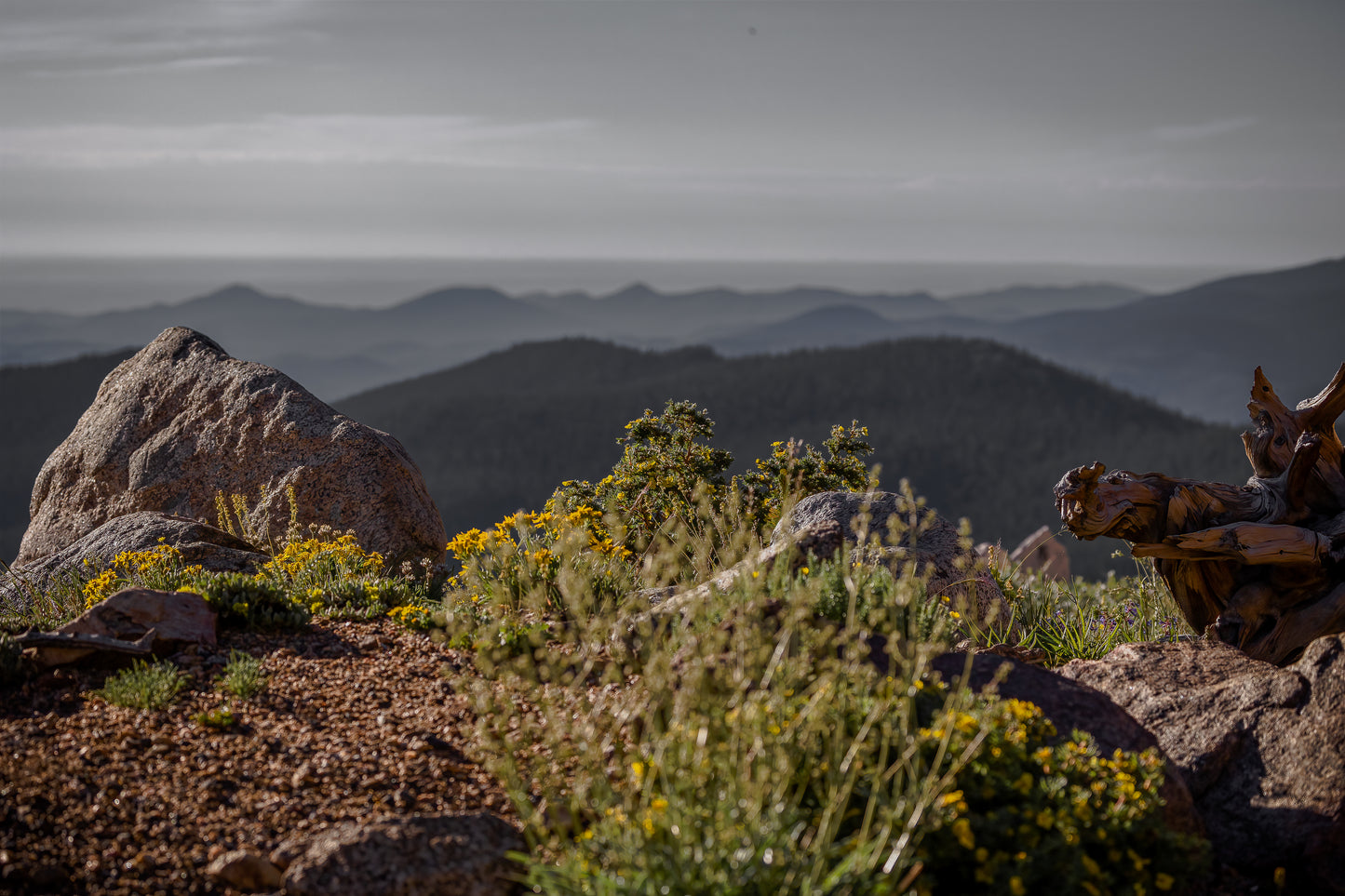 "Peaks from Above"