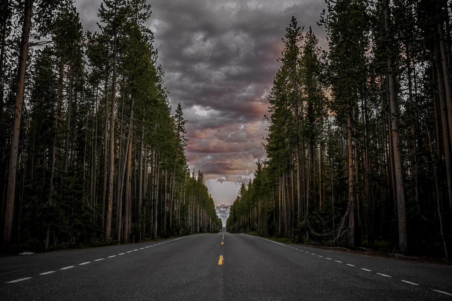 "Serenity Amidst Pines"